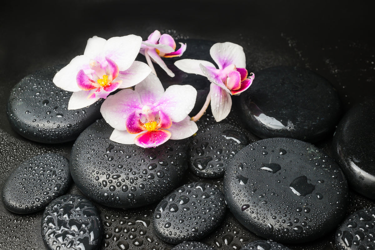 aluminium-print-feng-shui-orchid-zen