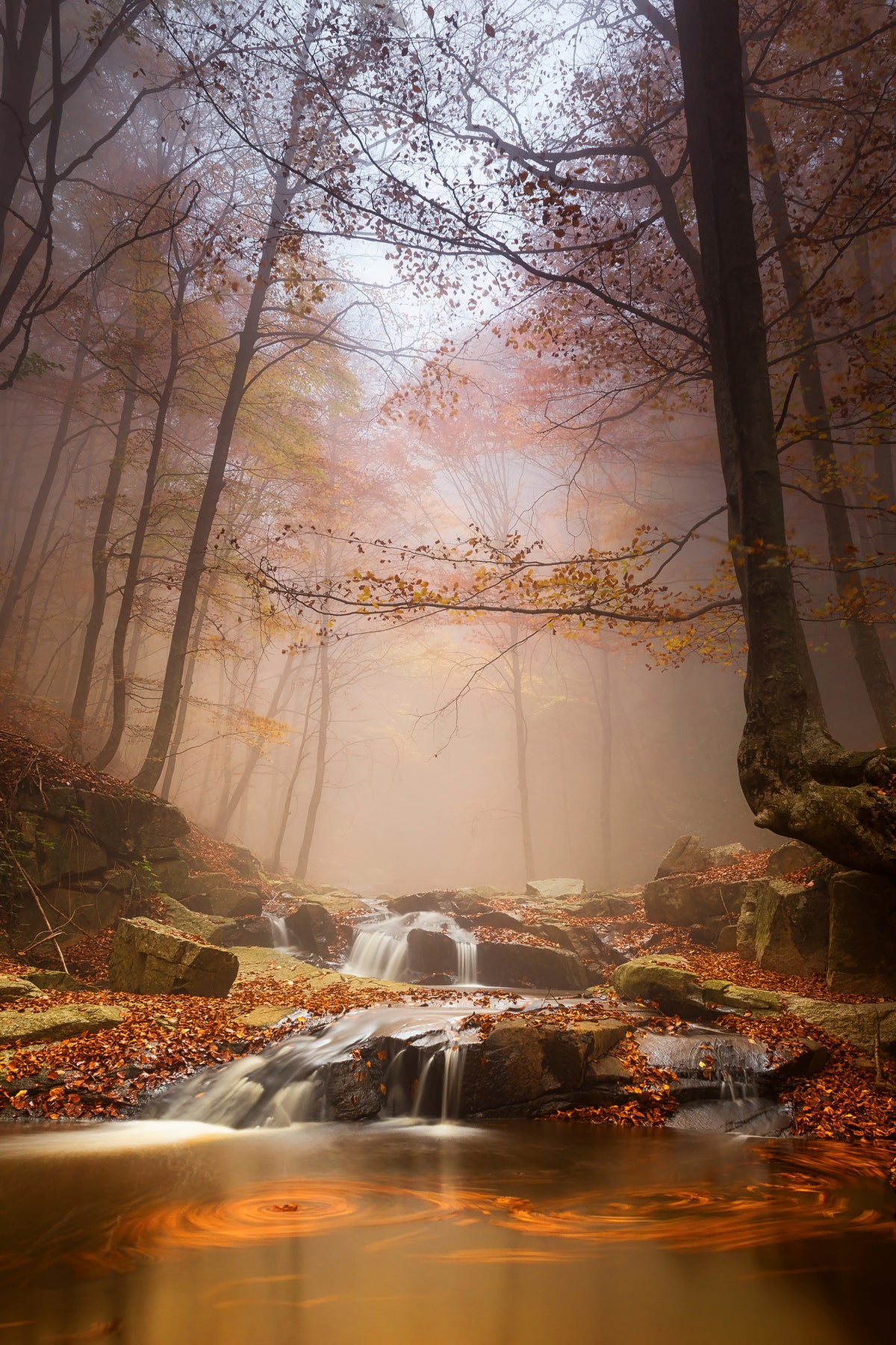 acrylic-print-mistyc-mist-x