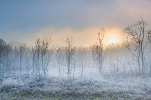 3-piece-acrylic-print-a-touch-of-winter
