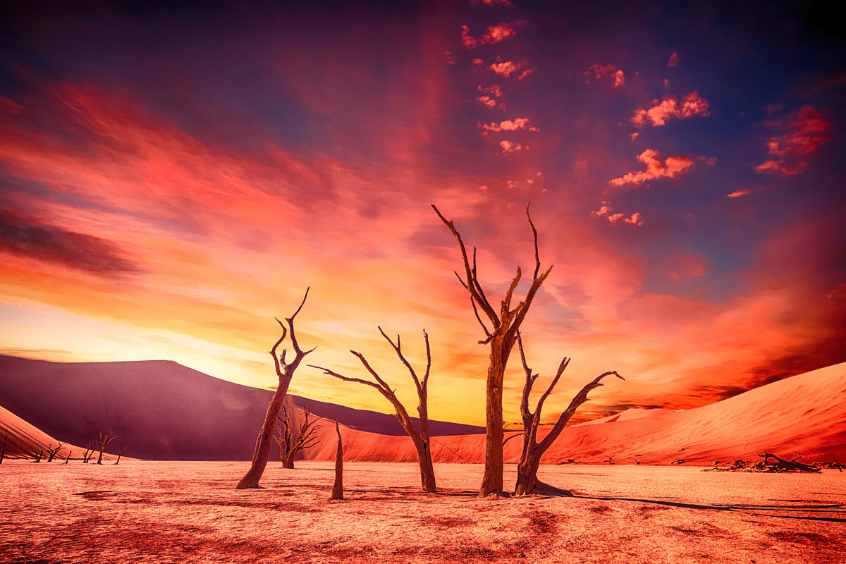 3-piece-acrylic-print-colorful-desert