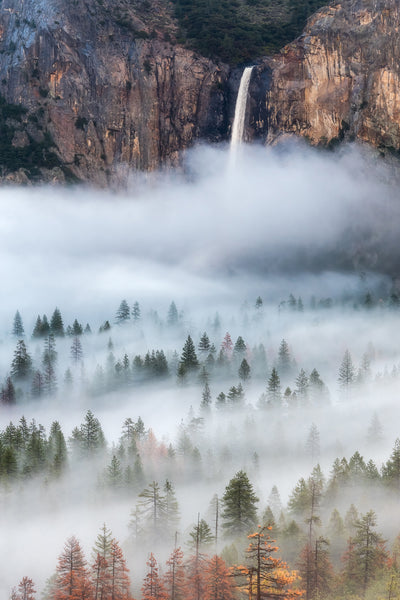 poster-print-mist-falls