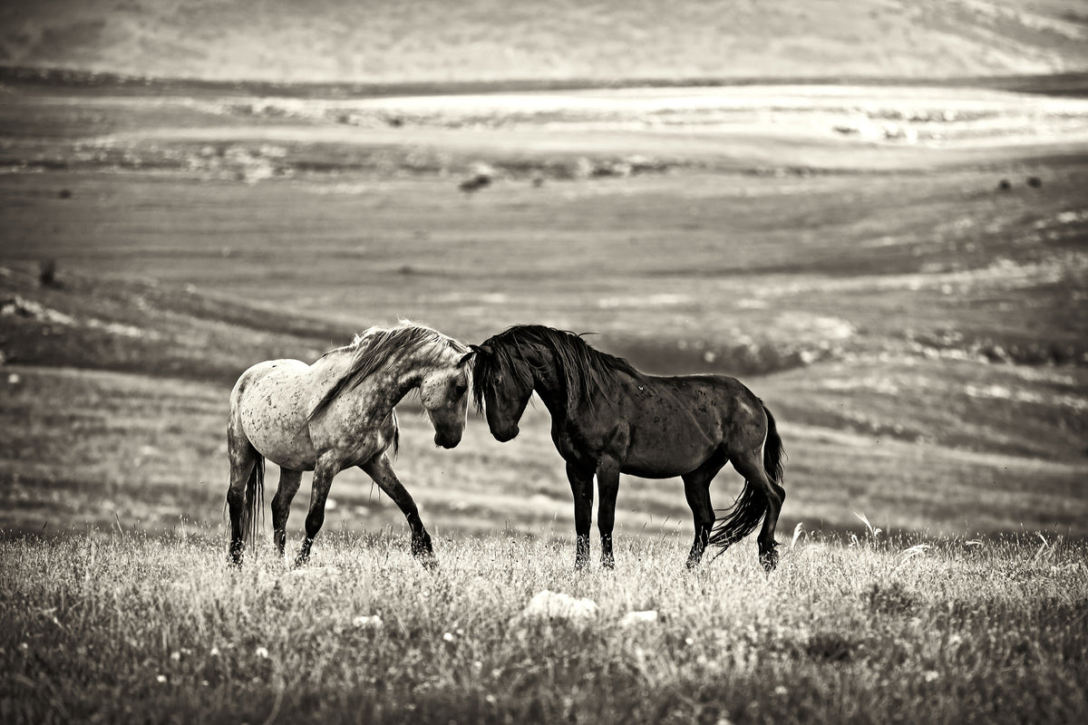 framedposter-print-close-encounter-x