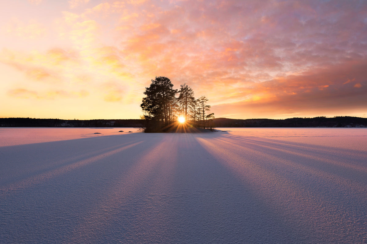 framedposter-print-sun-kissed