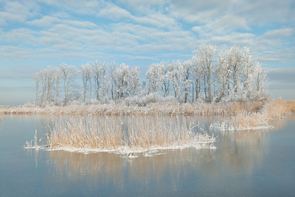 framedposter-print-winter-xfq