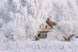poster-print-winter-tale-x