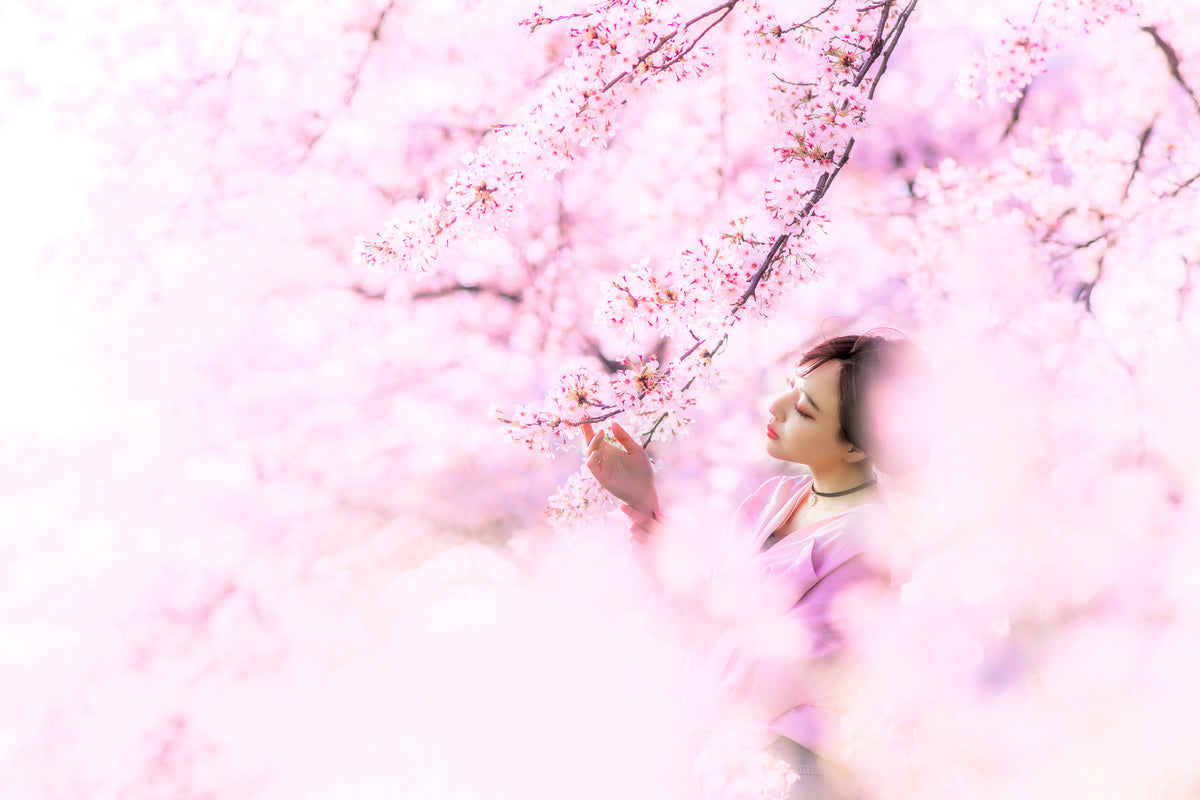 canvas-print-sakura
