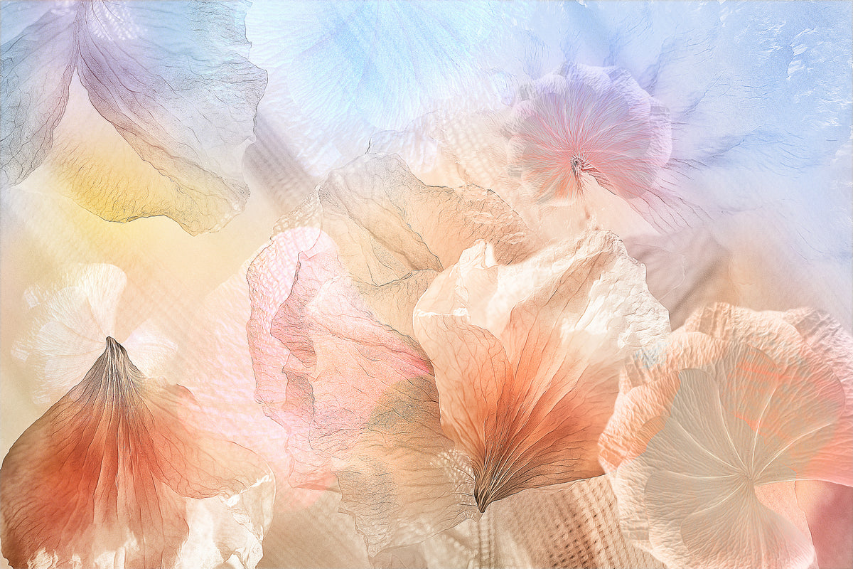 acrylic-print-ethereal-flowers-x