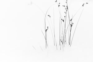 modern-3-piece-acrylic-print-black-on-white