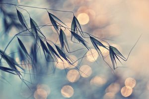 poster-print-straws