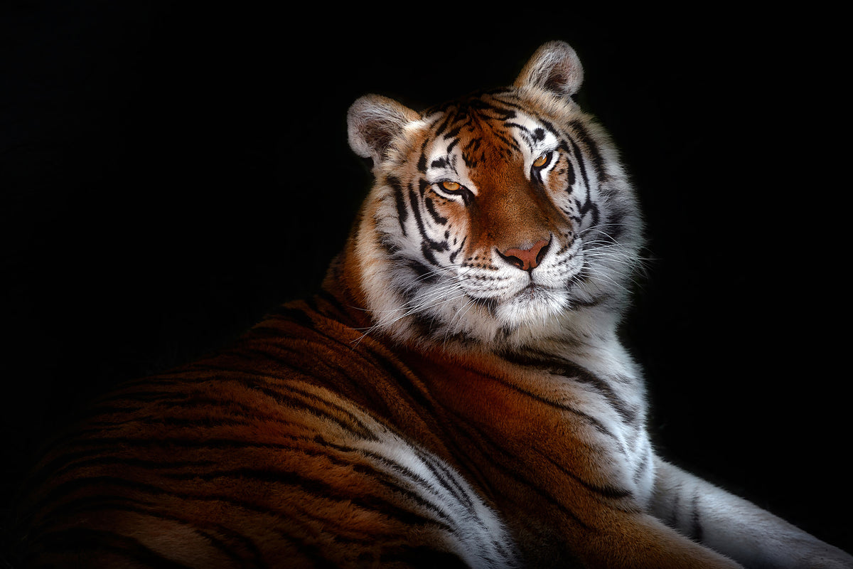 aluminium-print-serenity-xfc