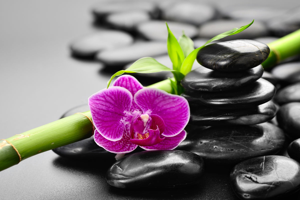 3-piece-acrylic-print-feng-shui-orchid