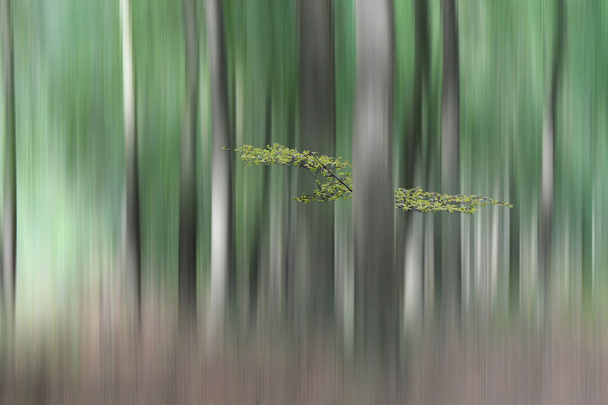 3-piece-canvas-print-summermorning