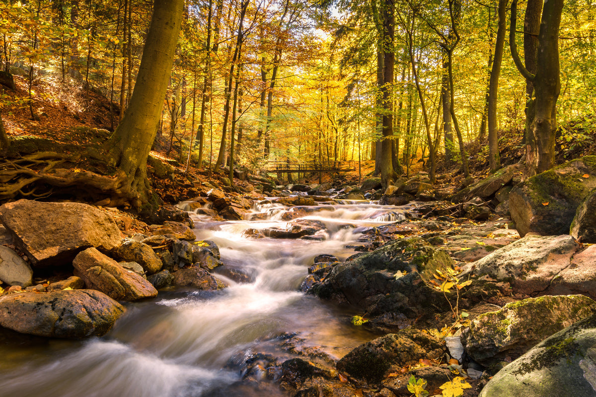 poster-print-real-nature-beauty