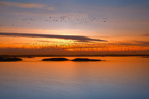 aluminium-print-by-sunset