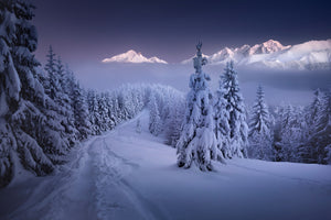 aluminium-print-in-the-winter-x