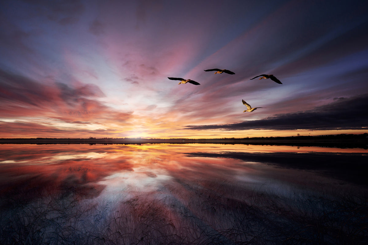 canvas-print-morning-mood-x