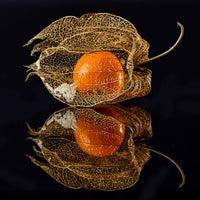 9-piece-aluminium-print-physalis
