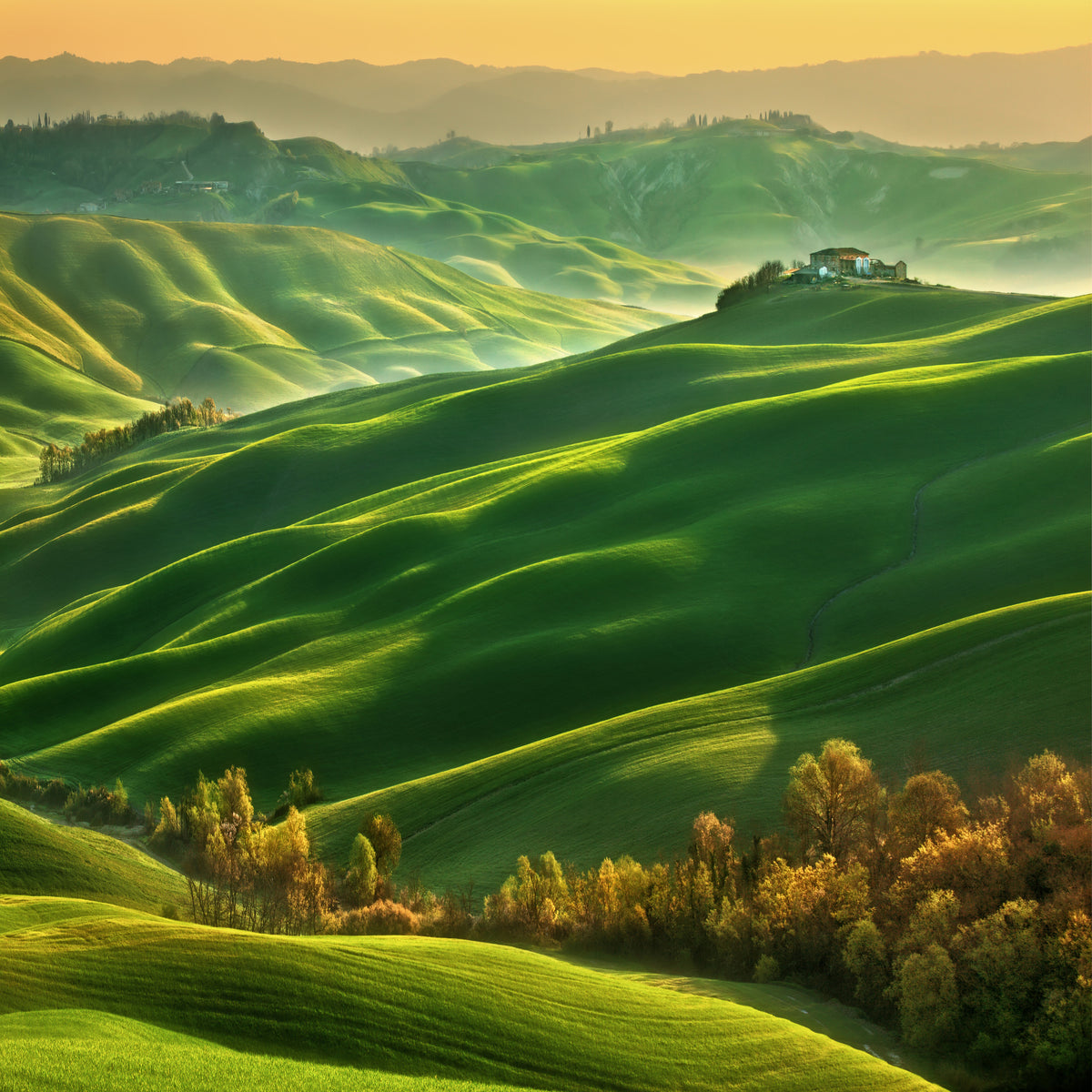 4-piece-canvas-print-mucigliani