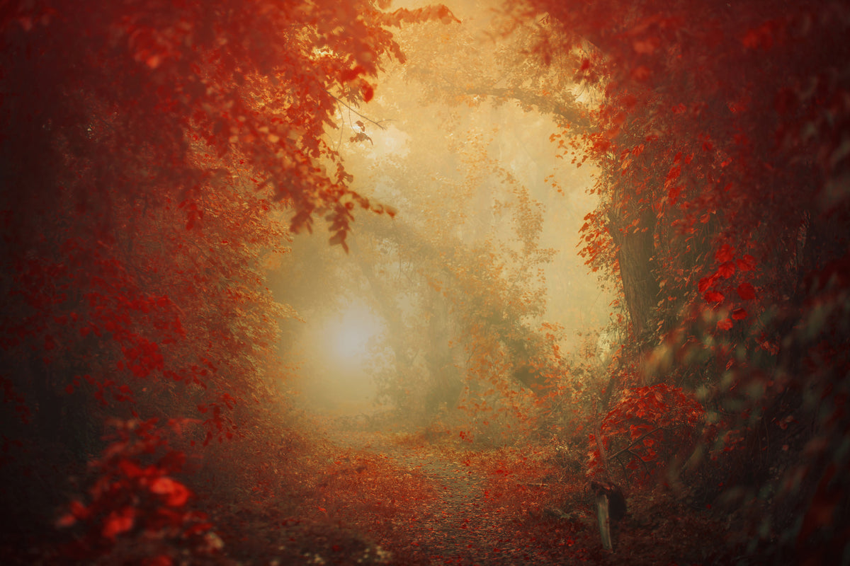 aluminium-print-personal-journey