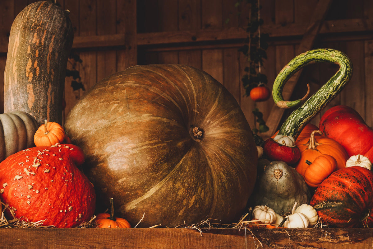 canvas-print-a-still-life