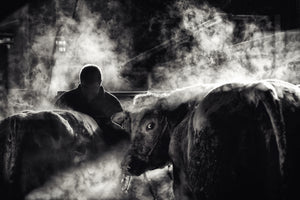 acrylic-print-farm-life