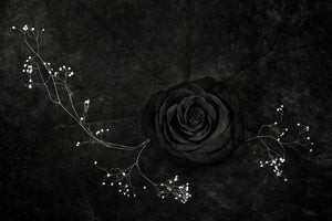 3-piece-aluminium-print-rose-noire