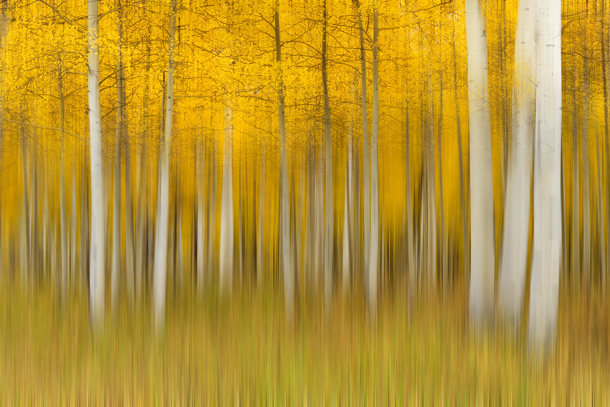 canvas-print-autumn-dream-ii