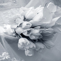 4-piece-canvas-print-romantic-tulips-bouquet