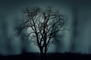 poster-print-the-tree-in-darkness