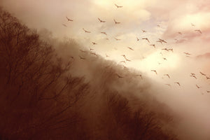 poster-print-departure