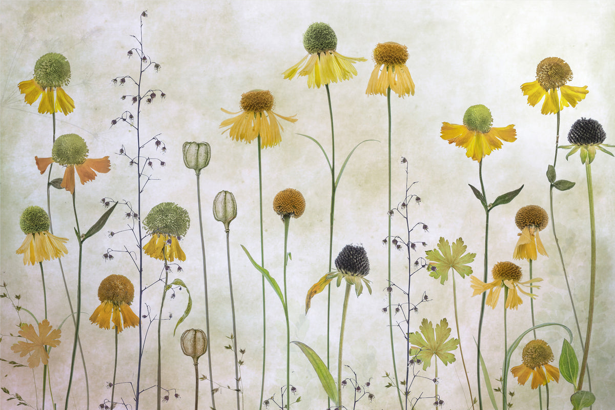 aluminium-print-helenium