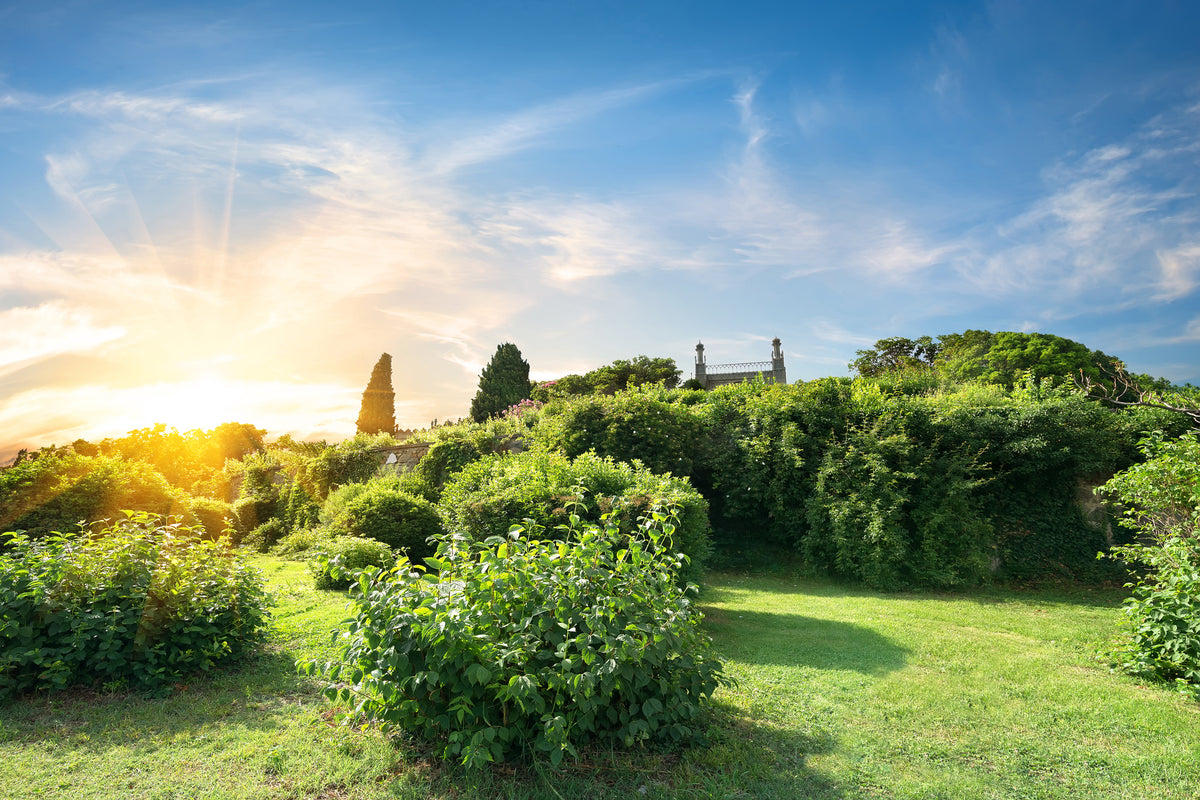 3-piece-aluminium-print-sunrise-in-the-park