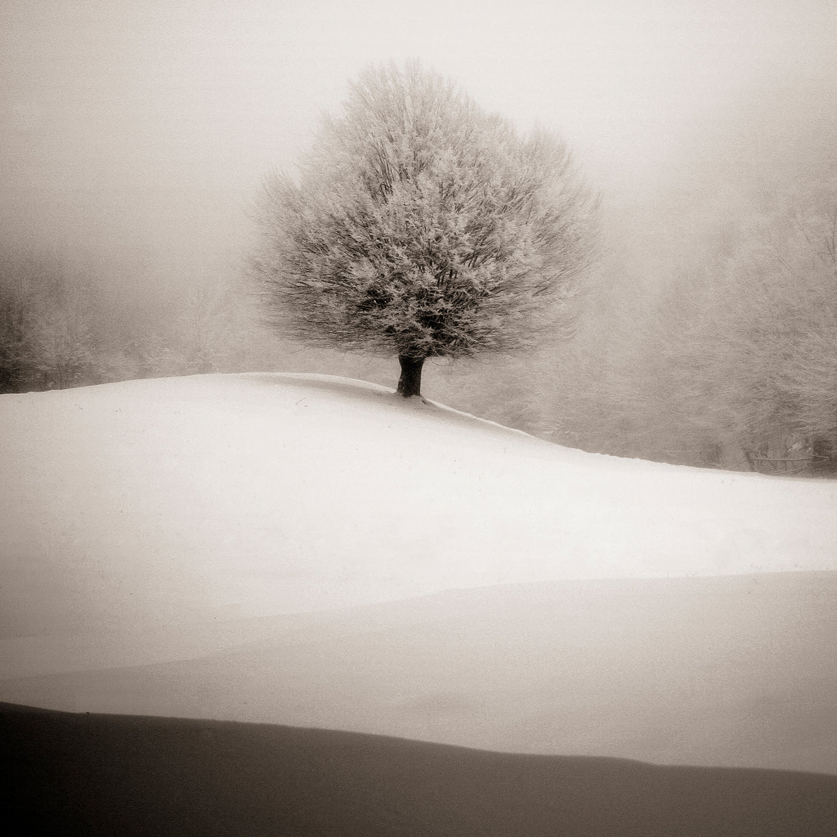 4-piece-aluminium-print-winter-degradee