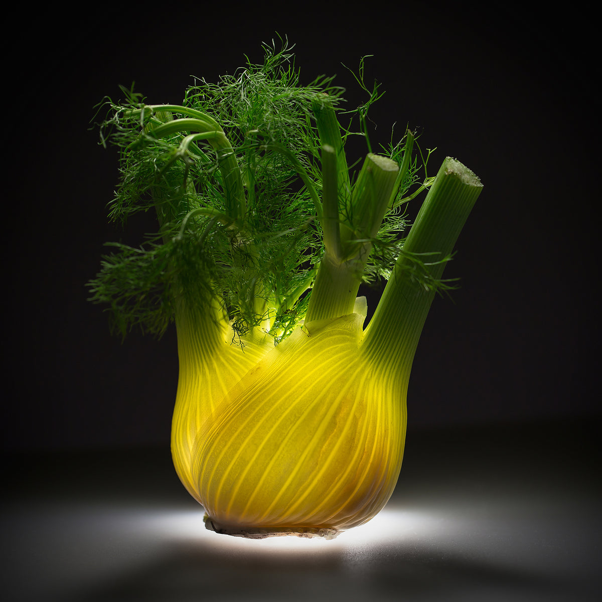 acrylic-print-fennel