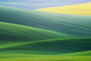 framedcanvas-print-lines