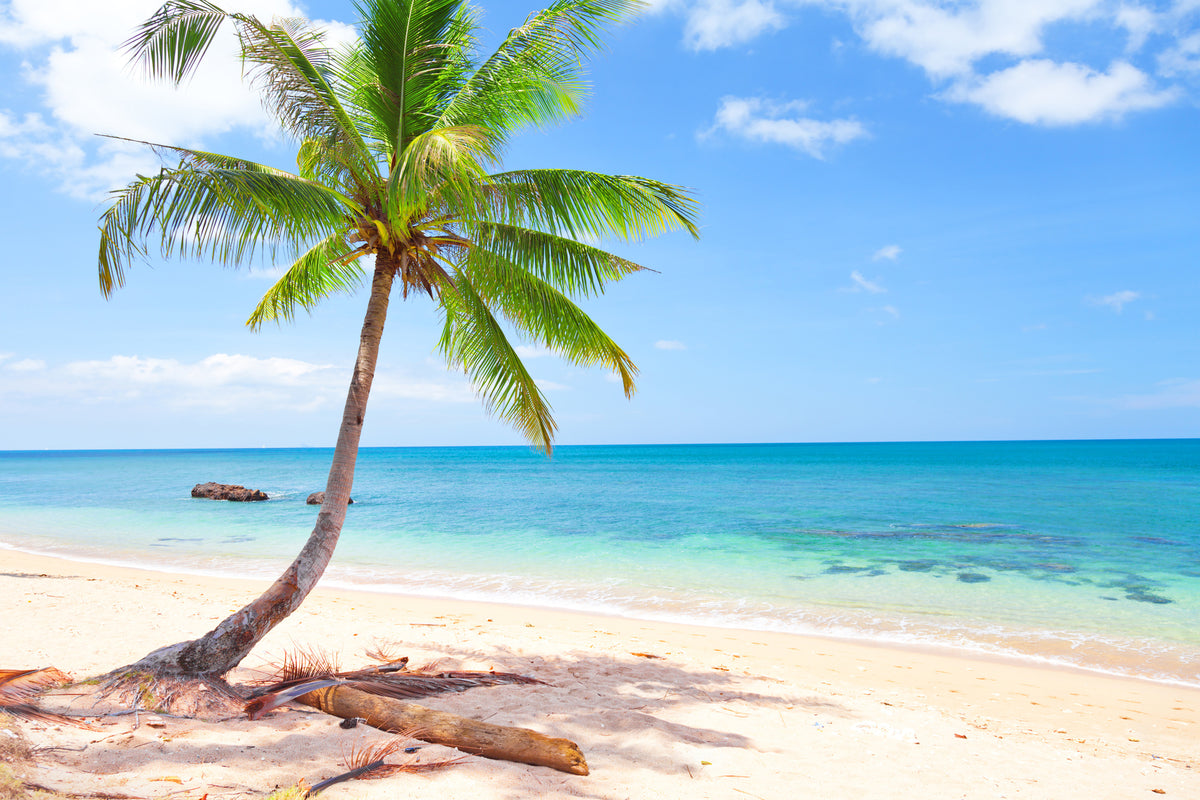 framedcanvas-print-the-own-island