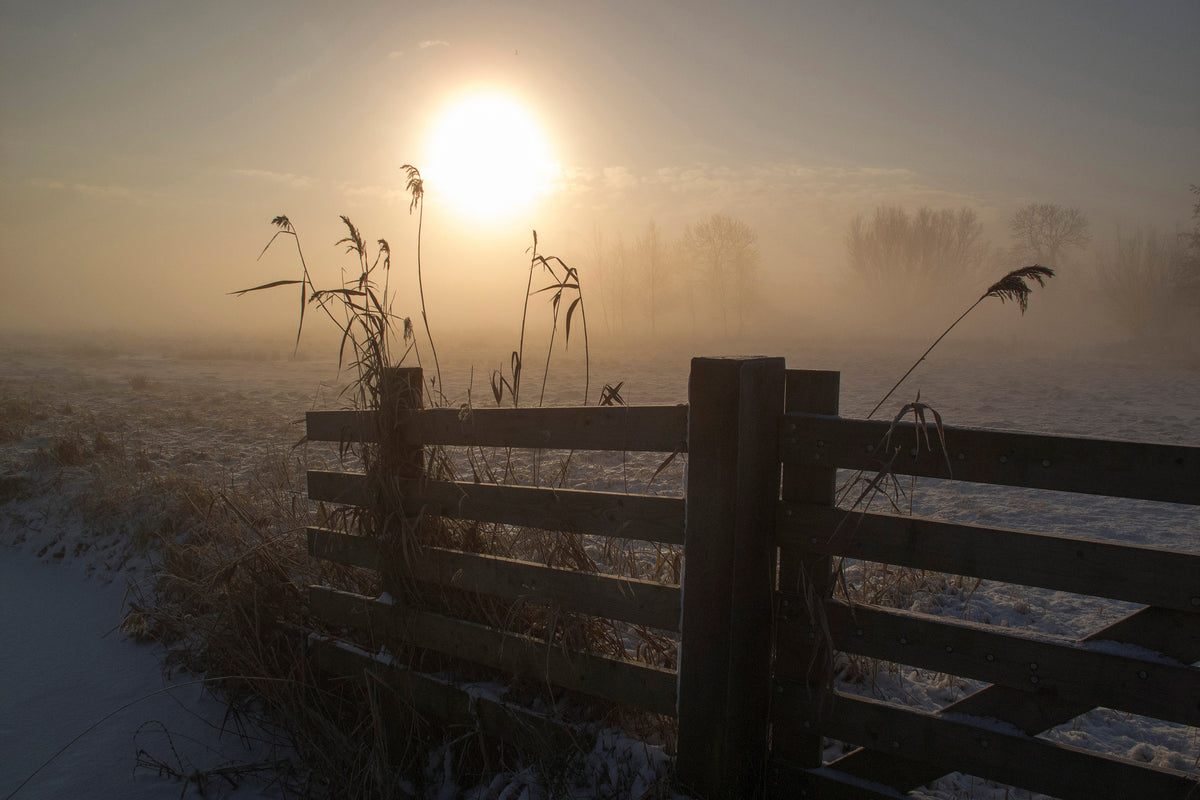 3-piece-aluminium-print-winter-mood