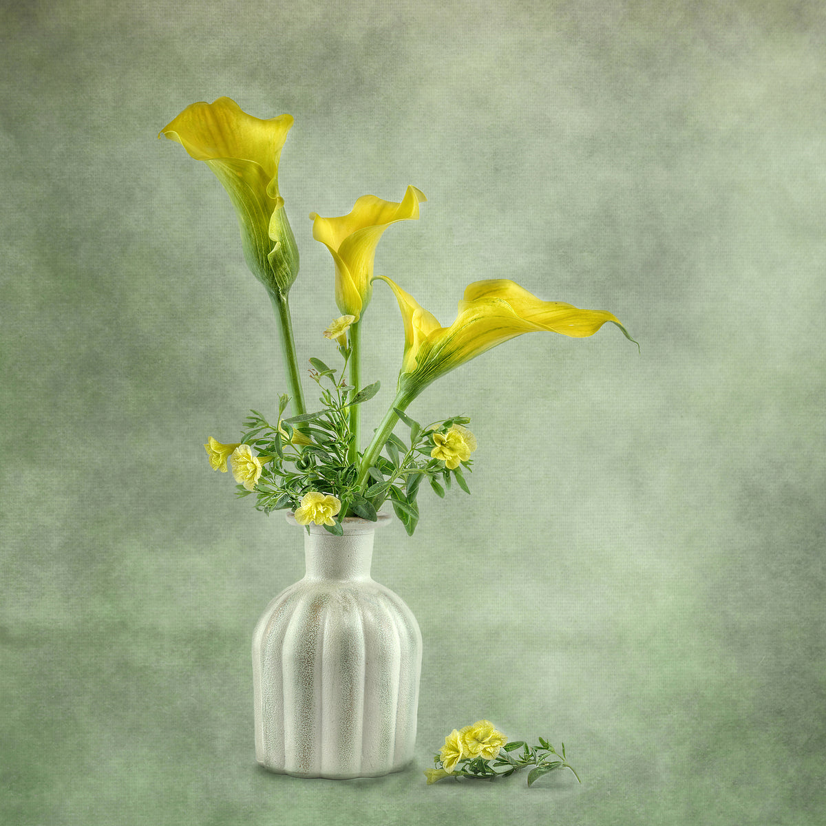 4-piece-canvas-print-calia-lillies