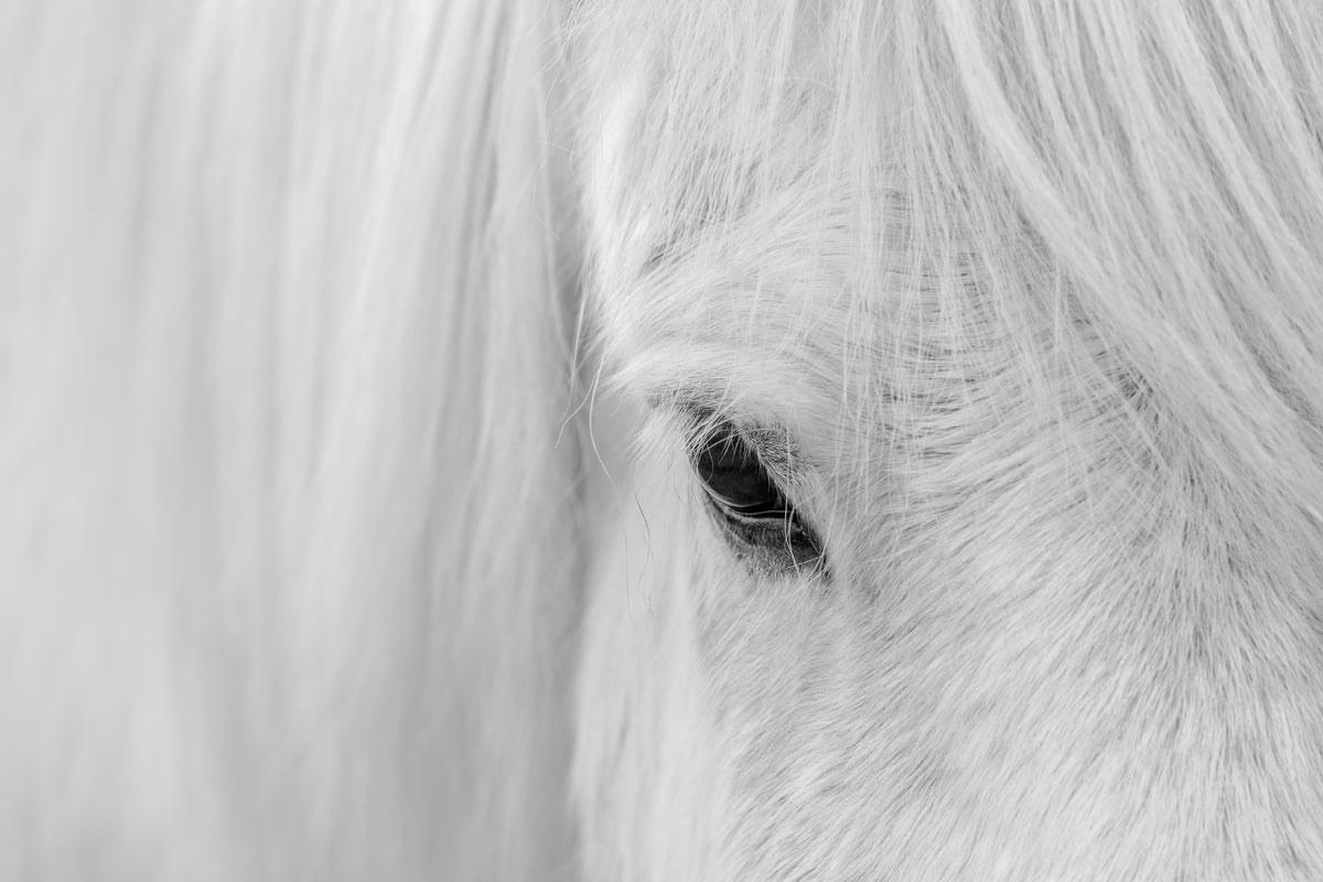 canvas-print-whisper-of-iceland