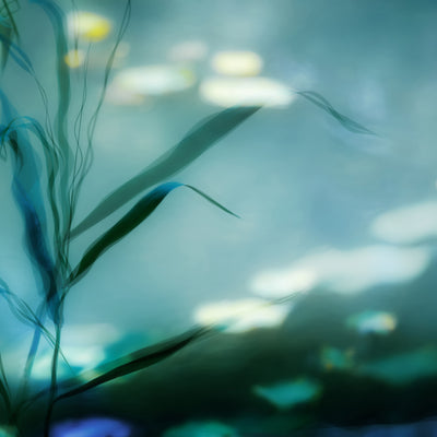 poster-print-ripples-in-suzhou