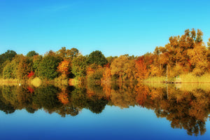 3-piece-acrylic-print-autumn-reflections