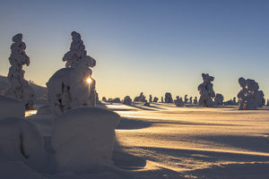 poster-print-in-lapland