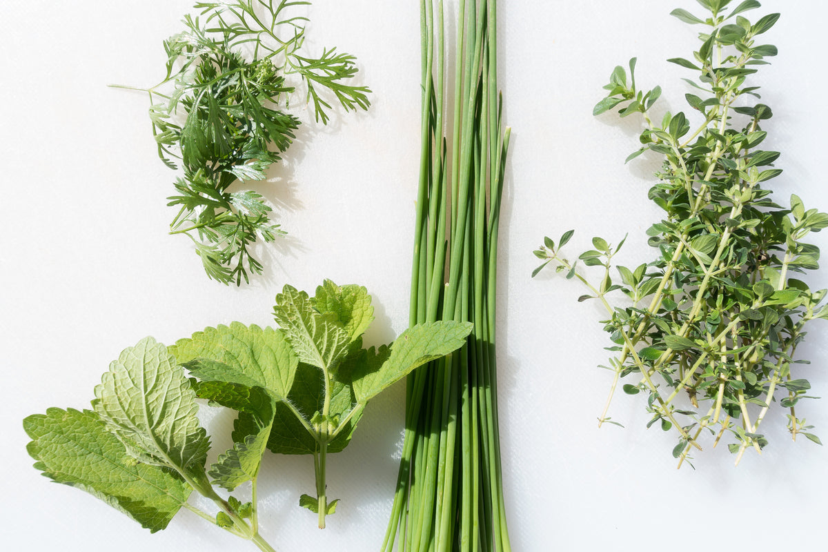 aluminium-print-fresh-herbs