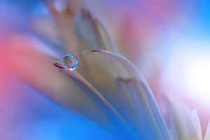aluminium-print-touch-me-softly