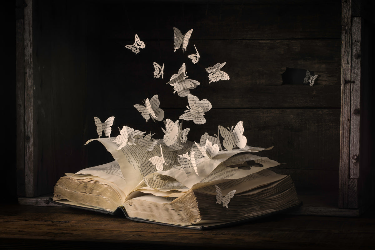 framedposter-print-lepidopterology