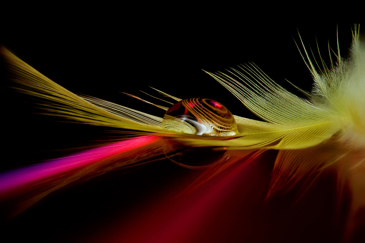 canvas-print-colors-in-the-drop-x