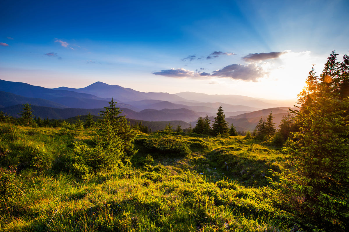 3-piece-canvas-print-peaceful-landscape