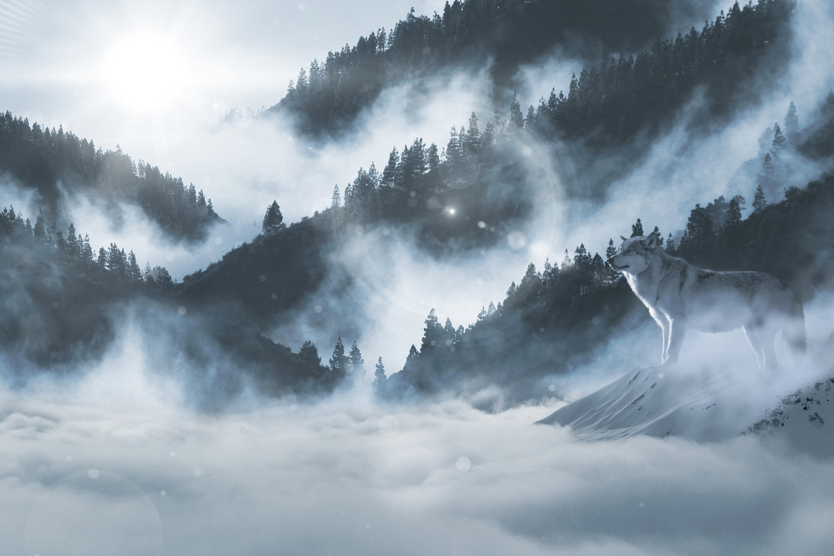 3-piece-canvas-print-the-wolf-in-the-woods