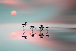 aluminium-print-family-flamingos-x