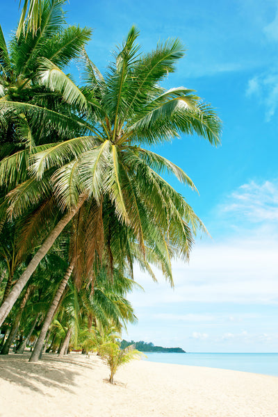 poster-print-a-island-dream